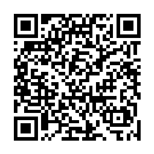 现在已经定了由我们华北小组到东洋去查探樱花神的消息二维码生成