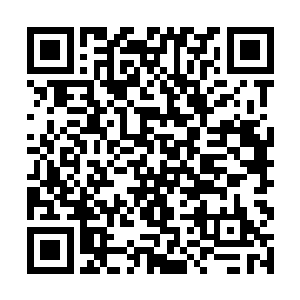 现在已经给黄水湾村的杜鹃花免费做了好几期的刊登二维码生成