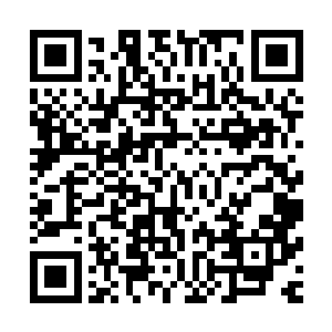 现在我们天龙宗的名号通过这次拍卖大会肯定是已经打出去了二维码生成