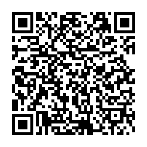 现在我们的产品工程师们已经跟欧盟的分子生物实验室正式展开了合作二维码生成
