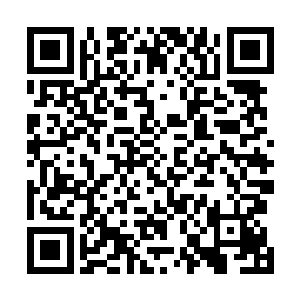 现在敌人能维持均势僵持完全是建立在小天罗地网的加持二维码生成