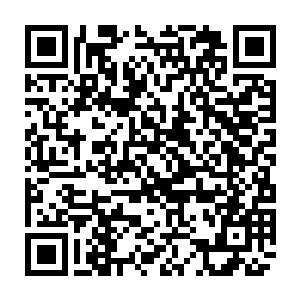 现在晋枝可以抓紧时间在这五天里教会他们一些最基本的服从命令的常识二维码生成
