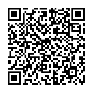 现在正是农历四月份她在这些草笼中也找到一些野生的沙参天麻党参之类的补药二维码生成