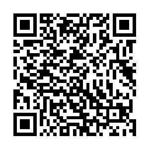 现在没信号就让我们在最后接收到信号的一大片海域搜索二维码生成