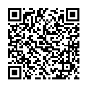 现在王淑芳想从谢兰兰那里打听一下孙立超的为人二维码生成