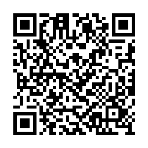现在的他完全依靠着蛮力一拳一拳的打向东方信二维码生成