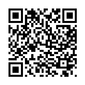 现在的感觉就好像是一团绿色的雾气二维码生成