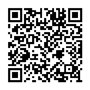 现在的流墨墨也在朝着被众宠敬畏的方面发展的二维码生成