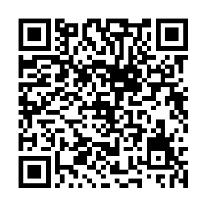现在的神圣金兰花帝国之所以落到如此奇葩的境地二维码生成