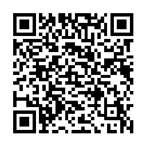 现在的红尘天外天已经被我们搞成了现在这个状况二维码生成
