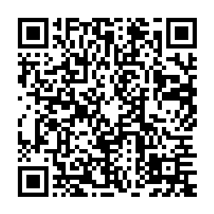 现在的贝海最需要的是好好的躺到自己的床上然后美美的睡上一觉二维码生成