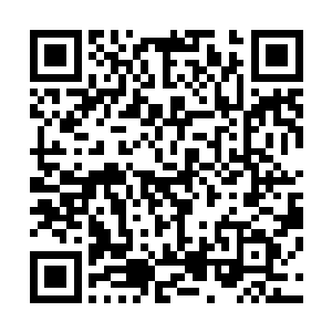 现在竟然仅仅不到三个回合紫金天蜈就直接变成了一具尸体二维码生成