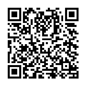 现在索尼那边有几个歌手一年能给他们挣到这个数二维码生成