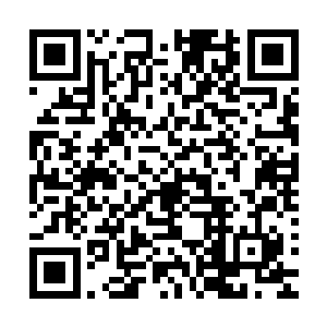 现在能够在相对宽松的环境下让他们历练就尽量给他们机会吧二维码生成