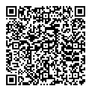 现在轮到云达不莱梅的主教练沙夫和经理阿洛夫斯烦恼怎么应对那些中国媒体有关为什么荣光没有进入十八人大名单的问题了二维码生成