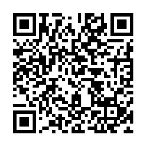 现在这个奶茶店里不知何时竟然已经全部被一群狼给包围了二维码生成
