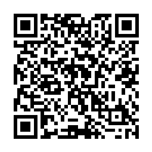 现在这个时候大家还真的就不能够把丁羽给怎么样了二维码生成