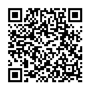 现在这么一部能够让他们变的无比强大的功法在他们眼前二维码生成