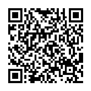 现在这十九名青龙处成员就成为符元界第一批高级的杀手了二维码生成