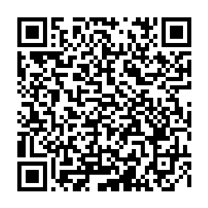 现在陆为民也无法判断魏宜康和曹刚的表现是否已经引起了张天豪的注意二维码生成