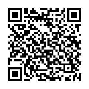 现在龙傲天一致的灵果树已经快要形成一个小树林了二维码生成