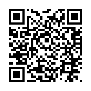 现场的精美华丽程度远超人们的想象二维码生成