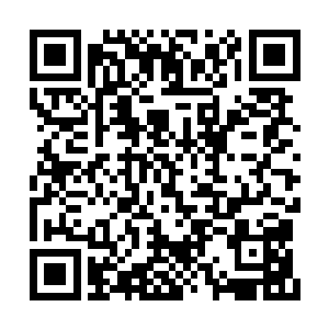 现场的这些人都不明白夏天究竟从哪里来的勇气二维码生成