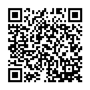 现实是至今谁都无法确定君北月到底什么时候会清醒过来二维码生成