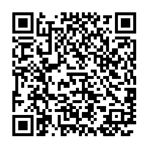 现象级的表现让十一月第三周北美电影市场其他一切作品都黯然失二维码生成