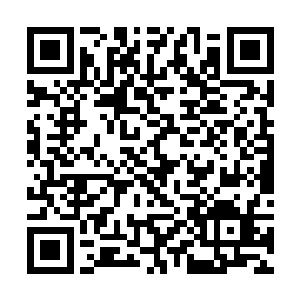 珂儿笑了笑伸手接过了儿子把他放到了身边的海水里二维码生成