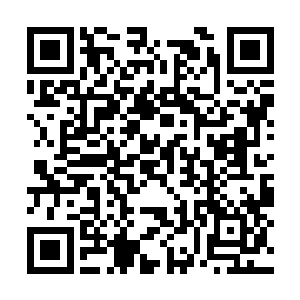 班同学们的身体素质和才艺表演完全秒杀你们经济二维码生成