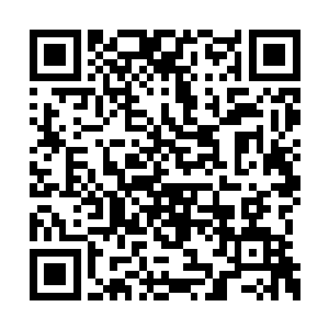 琅琊地灵一边操纵着长毛炼道大阵令其缓缓平息二维码生成