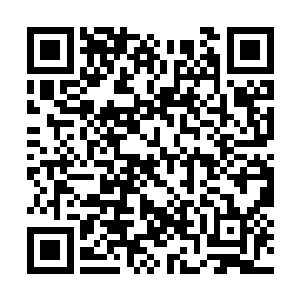 琅琊阁中取出来的那篇功法果然是吞天术的后半篇二维码生成