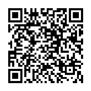 理应要为他们严格依法办事勤政尽责提供机制上的保障二维码生成