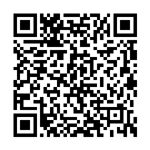 琴瑟色现在其实已经算是师宗乐土的半个主人了二维码生成