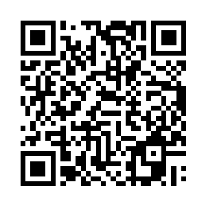 琴瑟色觉得这个宠物应该还可用修改修改··二维码生成