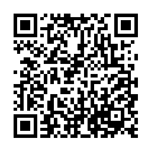 瑞莫的伏魔棍和另外两大化灵境强者的攻击也蓄势待发二维码生成