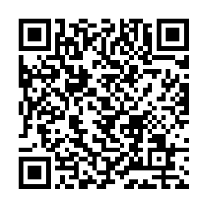 瑞金他们三人是因为他的原因才被困在北极冰神殿的二维码生成