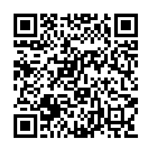 甄婕也被自己这么一折腾感觉到脊椎尾部的剧痛二维码生成