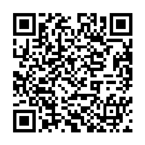 甄婕还是第一次知道陆为民住在这样一处僻静幽深的院落中二维码生成