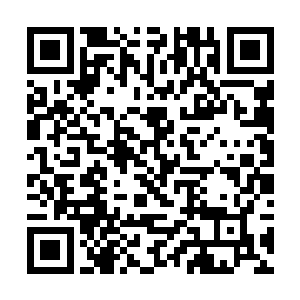 甘蓝和甘绿很快便从向妈妈被杖毙的阴影里走了出来二维码生成