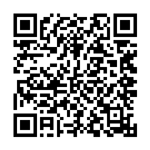 甚至于林烽还用灵识扫了一下自己为中心一百米地范围之内二维码生成