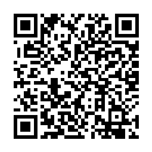 甚至于那个辛德拉在敌人野区闲庭信步胸有成竹的画面二维码生成
