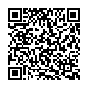 甚至他保存在星空战堡主控晶脑里的核心数据库二维码生成