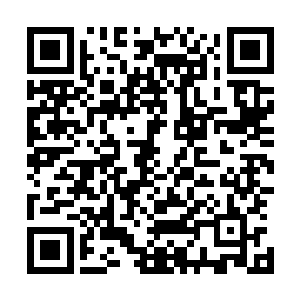 甚至只怕连他整个身体都会因为承受不住那种力量生生爆开二维码生成