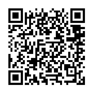 甚至可以说他根本没有一丝的机会能够取下洛阳城二维码生成
