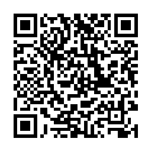 甚至就连一项严肃专业的钱世豪也都目含疑惑诧异时二维码生成