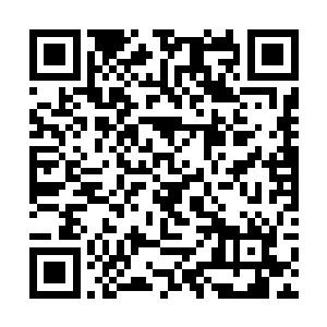 甚至就连精通空间法则的骨皇竟然也没能逃过这一击二维码生成