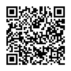 甚至已经到了只有摧毁到对方全部才能释放仇恨的地步二维码生成