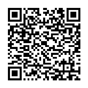 甚至很多人都认为北宁侯府的大小姐真是脑子不清醒二维码生成